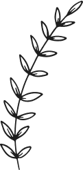 A black and white drawing of a leaf, symbolizing nature and tranquility, featured in Kaya by Reema Salon's aesthetic services.