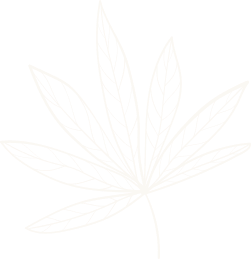 Golden cannabis leaf clipart representing Kaya by Reema Salon's holistic facial services and treatments.